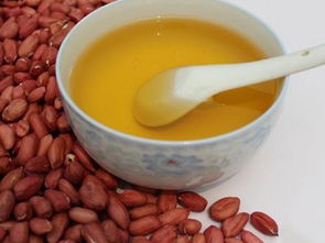 東莞全家福膳食糧油配送服務(wù) 價(jià)格詳情與餐飲解決方案